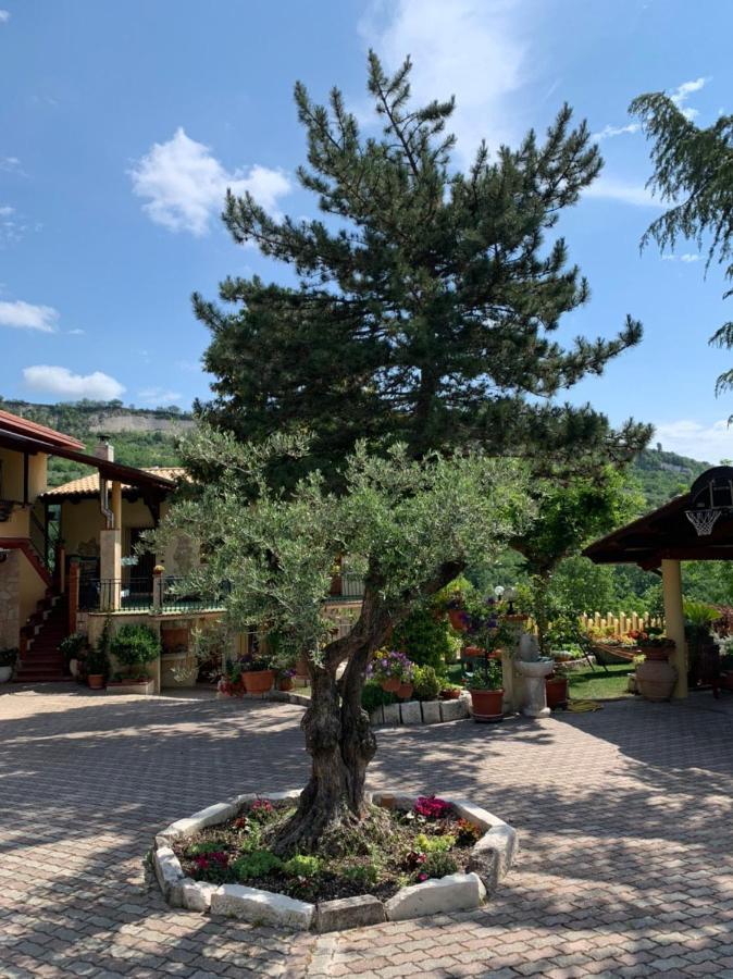 Le Ceppete Apartment Palombaro Bagian luar foto